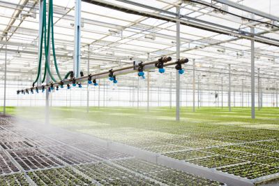 Greenhouse Irrigation - Irrigation Iredell County, North Carolina