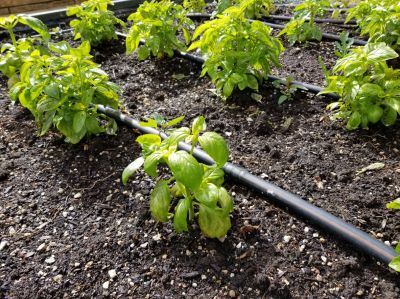 Watering System For Garden - Irrigation Iredell County, North Carolina